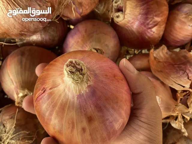 بصل محلي حصاد السنة الجونية خمسة كيلو