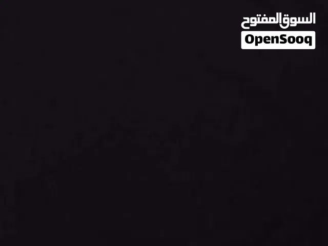 مطلوب كلب لتبني في طرابلس