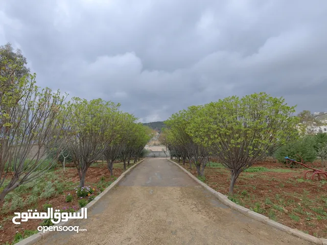 4 Bedrooms Farms for Sale in Jerash Al-Mastaba