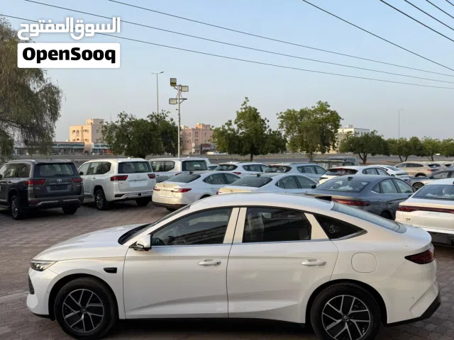 2025 بي واي دي كين