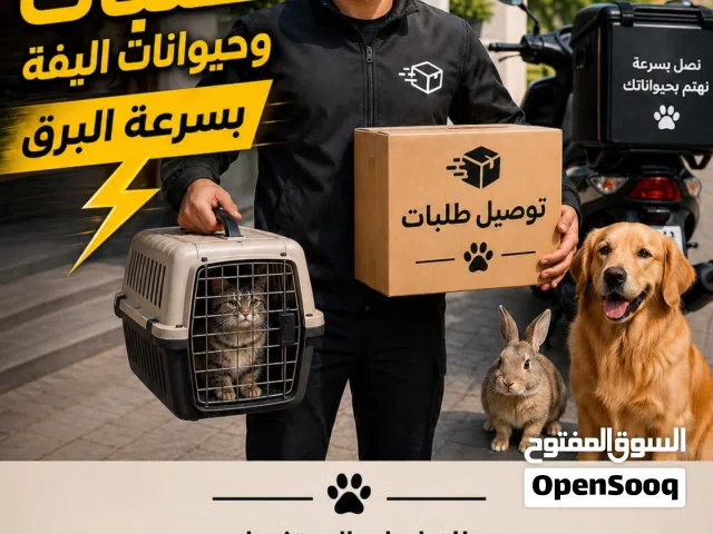 توصيل حيوانات داخل الامارات
