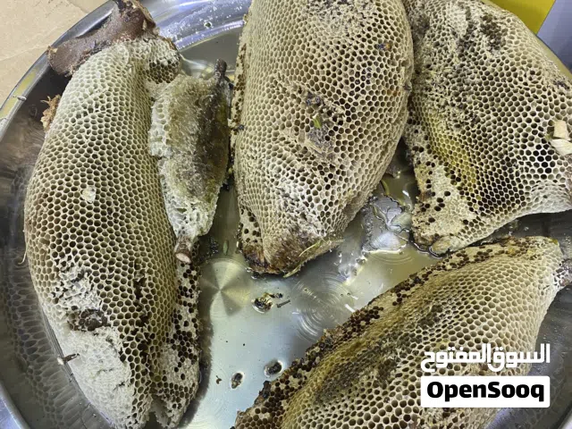 للبيع عسل الدار سدر