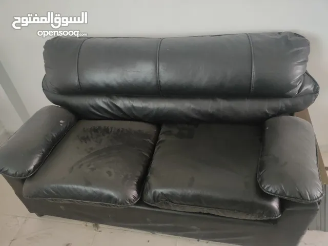 كنب الدب للبيع