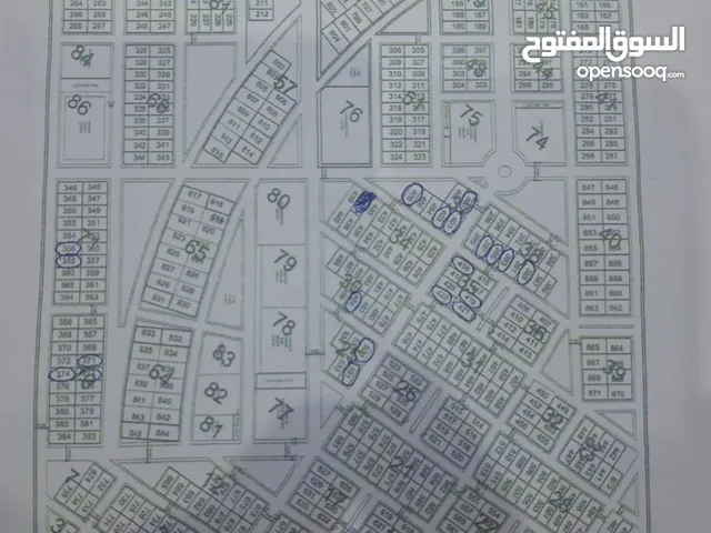 مجمع الرضا