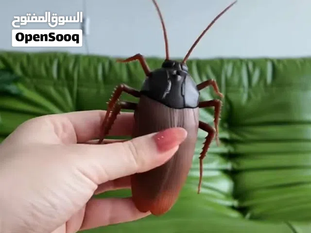 جاهز تفاجئ أصدقاءك؟ صرصور ضخم يتحرك بتحكم عن بعد بشكل واقعي جداً تحكم فيه للأمام أو للخلف