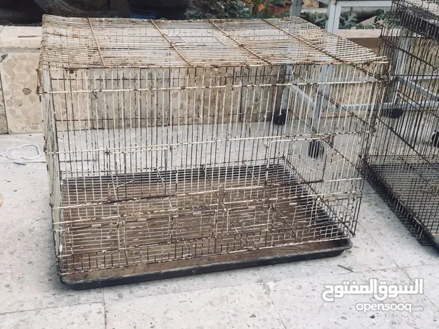 اقفاص وبينت
