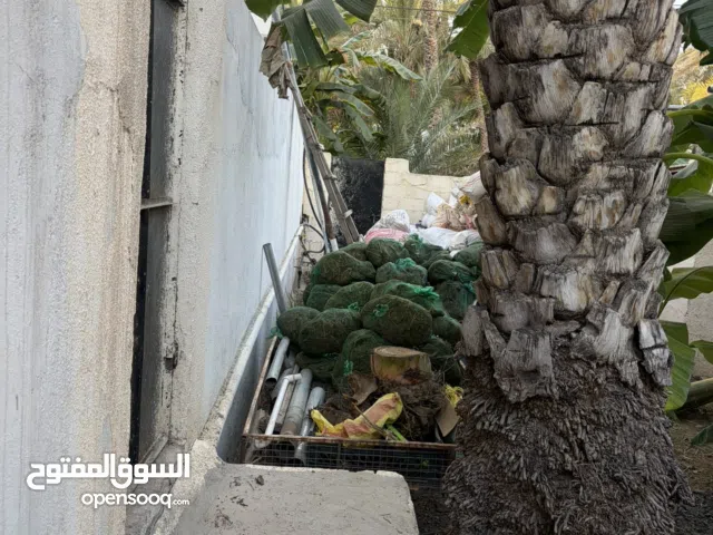 للبيع سماد بقر يوم الجمعة مقلوع