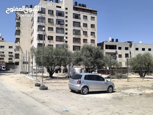 شقة للبيع بلاطة البلد عمارة سرحان دويكات