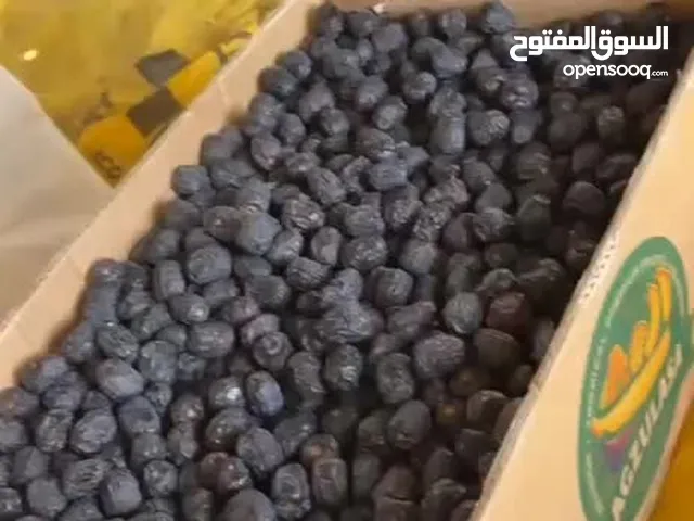 عجوه سعوديه حجم وسط تمور المدينه المنوره قطف اليوم