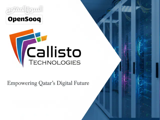 Callisto: Custom IT Solutions & Support