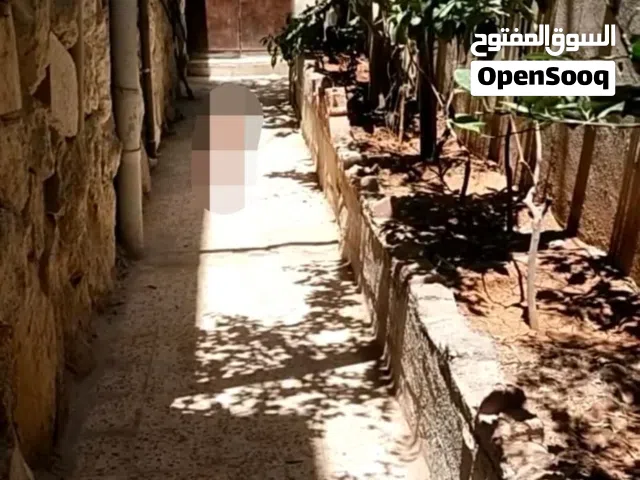 110 m2 2 Bedrooms Apartments for Rent in Zarqa Hay Ramzi