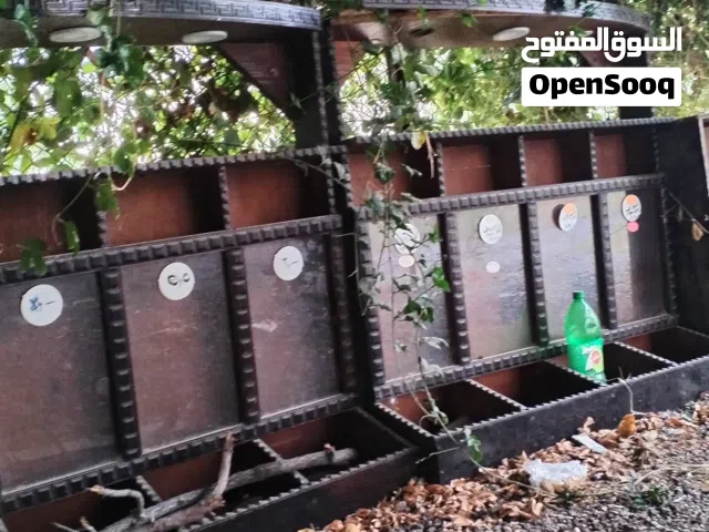 محمص كامل + ثلاجة عرض