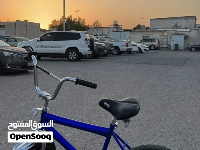 قاري النجمه