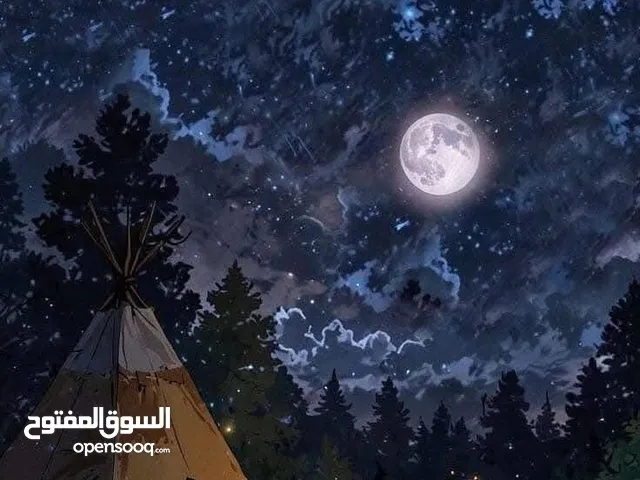 جادر تكتك باجاج للبيع جديد كلش تفصال