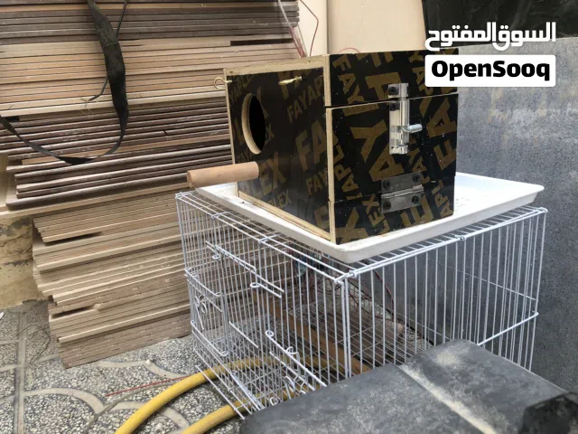 بياضه قفص ازرق