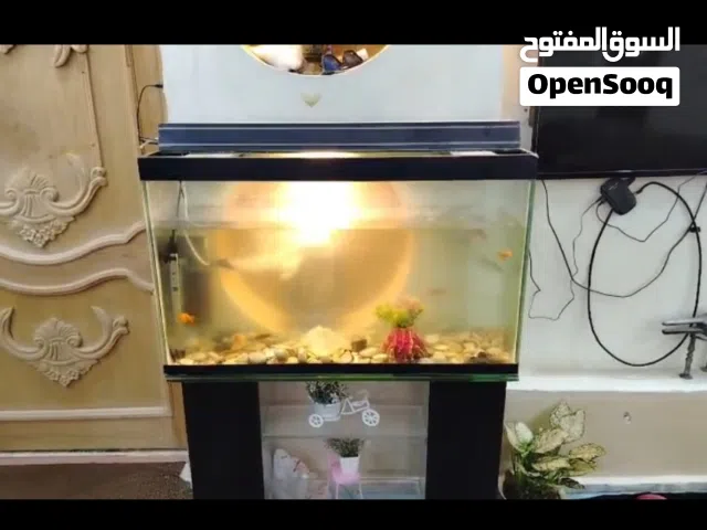حوض سمك للبيع