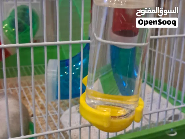 قفص ملون للهامستر