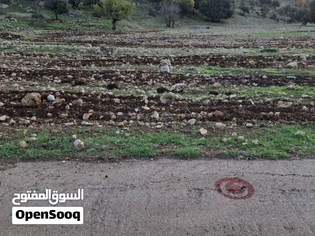 أرض استثمارية للبيع في عجلون (سامتا – عفنا)  إطلالة طبيعية ، موقع هادئ وسعر مميز – من المالك مباشرة
