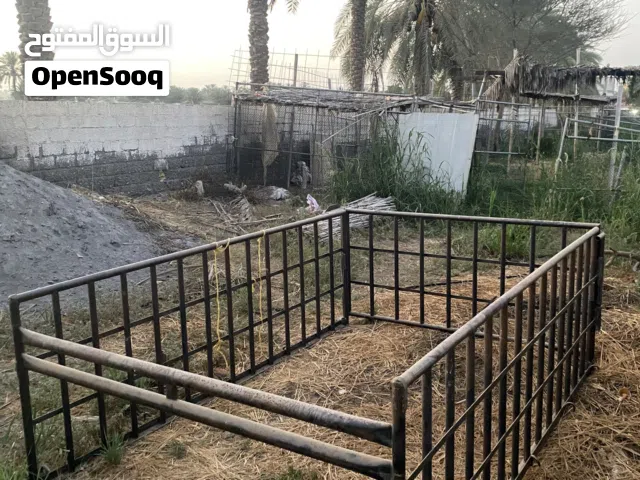 للبيع شده هايلكس بحاله جديدد