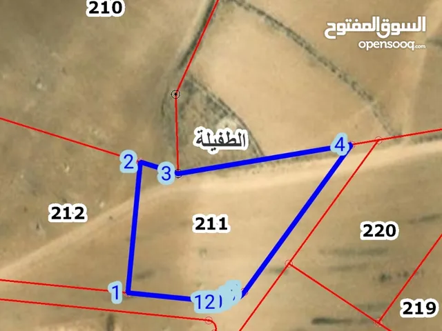 Mixed Use Land for Sale in Tafila Al-Ayes