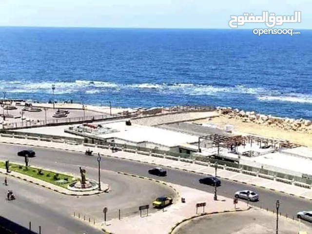 من المالك ع البحر مكيفه ميامي الان متاحه كامل وسط جميع الكماليات فيو مفتوح للبحر متاحه الان