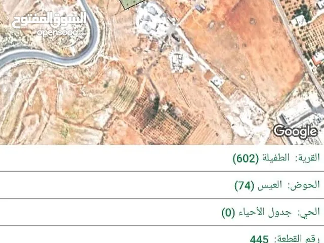 Residential Land for Sale in Tafila Al-Ayes