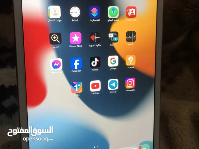 iPad mini 4 (128GB)