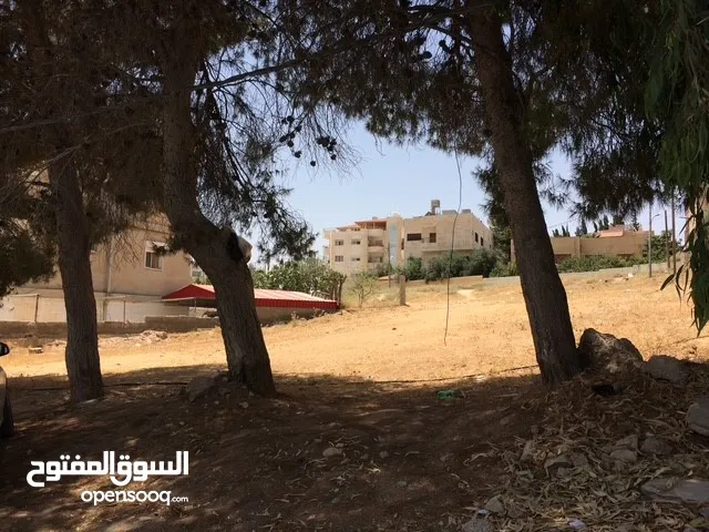 ارض تجاري للاستثمار في محافظة الكرك