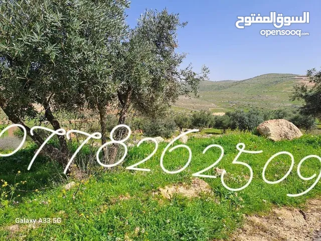 Farm Land for Sale in Mafraq Dahl