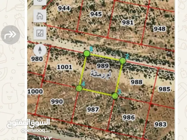 Residential Land for Sale in Zarqa Um Rummanah