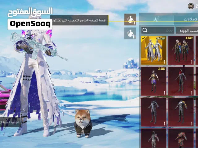 Pubg Accounts and Characters for Sale in Al Hudaydah