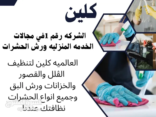 شركة تنظيف وبخ الحشرات