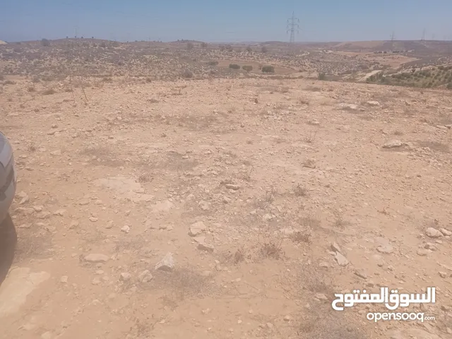 10 هكتارات تجارية عالرئيسي بسوق الخميس طريق اللوزات قبل المكب