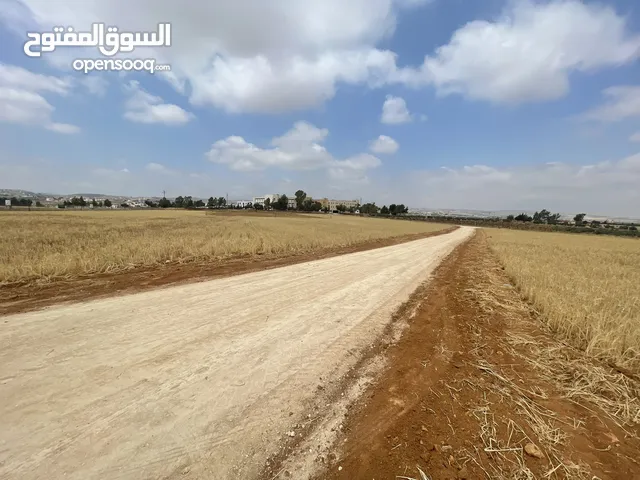 Farm Land for Sale in Irbid An-Nuayyimah