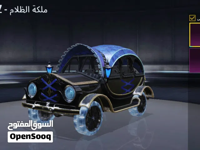 Pubg Accounts and Characters for Sale in Baghdad