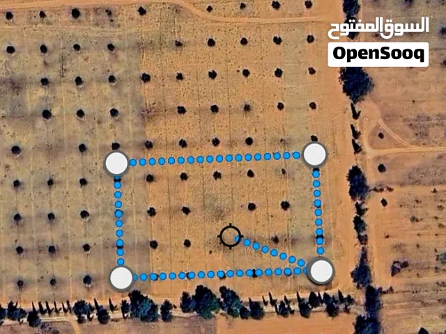 قطعة أرض زراعية في الخضراء- ترهونة