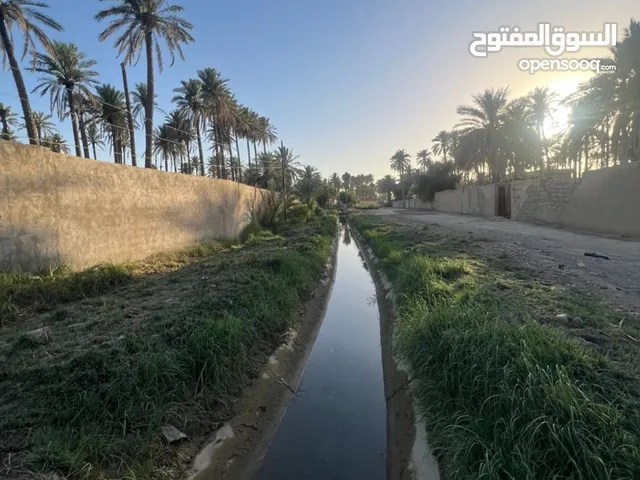 1 Bedroom Farms for Sale in Diyala Miqdadiyah