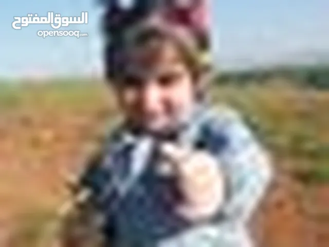محمد معتز