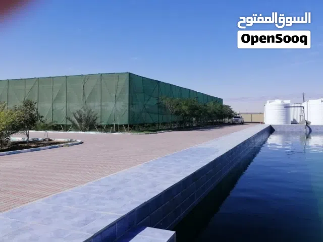 Farm Land for Sale in Buraimi Mahdah