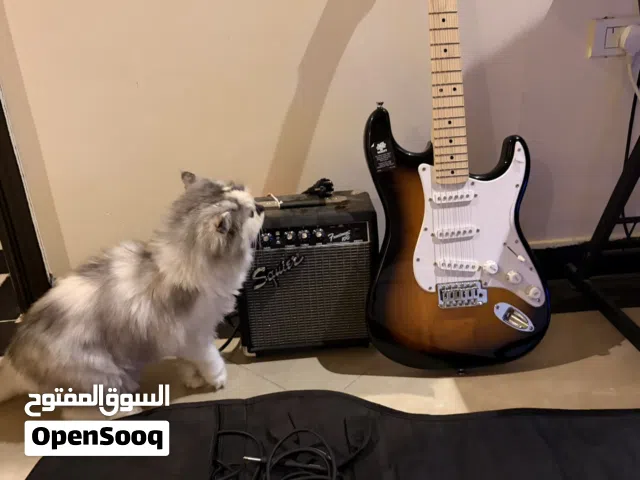 Electric guitar قيتار غيتار جيتار كهربائي  غيتار اليكتريك