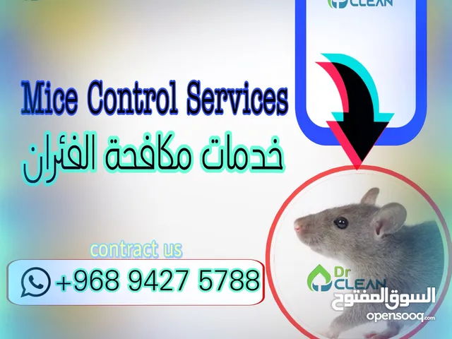 خدمات مكافحة الحشرات في جميع أنحاء عُمان نوفّر جميع أنواع خدمات مكافحة الحشرات مع الضمان د. كلين