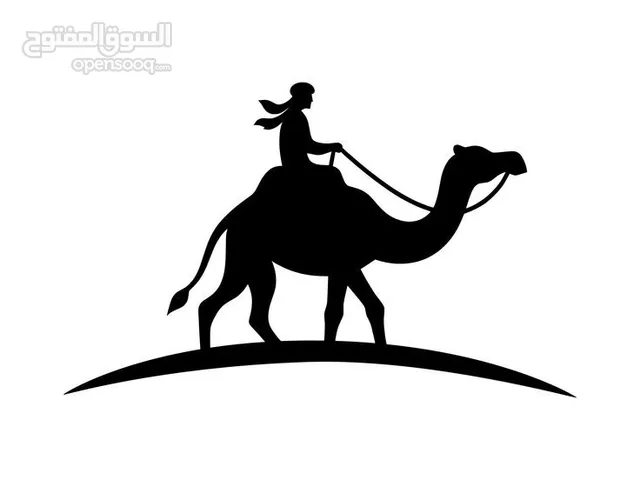 حسب طلبك نطبع ونصمم عبارات وأسماء ورسومات السيارات