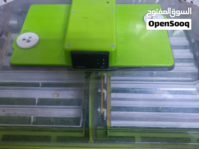 فقاسه جيموكا قنيه عن التعريف شرط التفقيس خير من الله