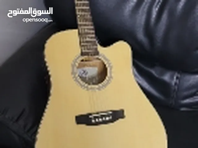 Guitar  (Sx custom guitar)