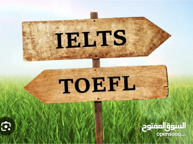 Tutoring for writing English essays for IELTS and TOFEL