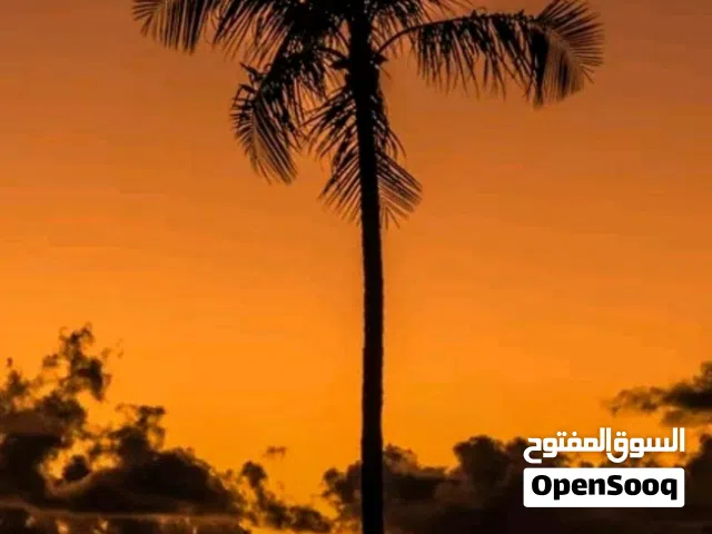 بيت للبيع في الطويسة