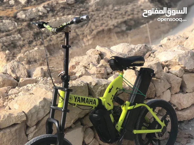بسكيلت كهربا 1300 شيكل