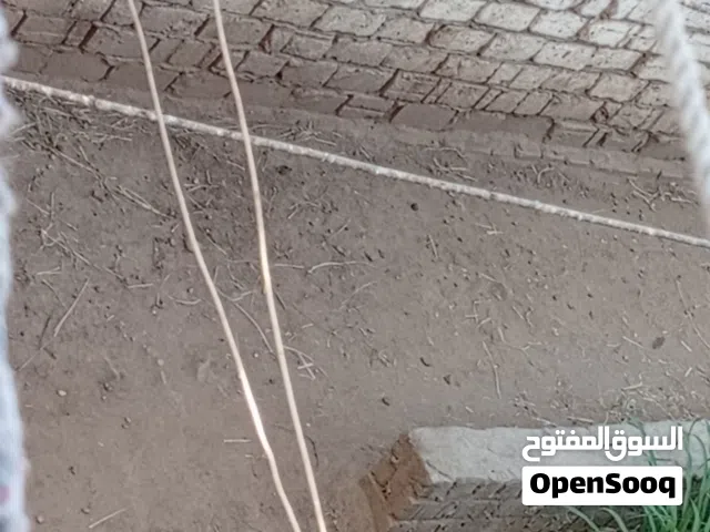 Residential Land for Sale in Damietta Kafr Saad