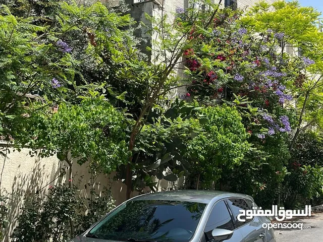 Used Seat Leon in Nablus