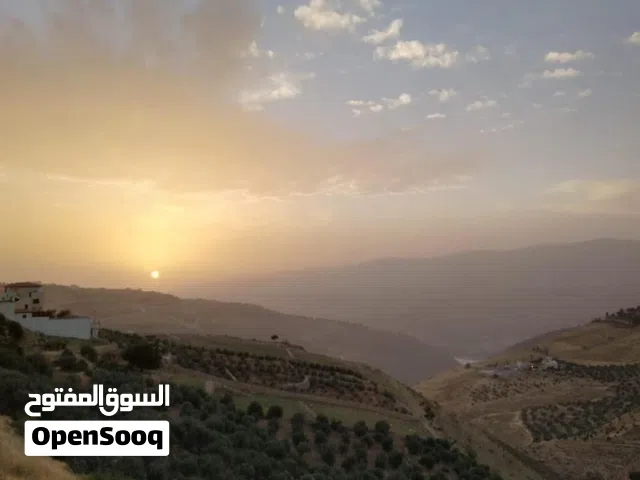 3 Bedrooms Farms for Sale in Jerash Nihla